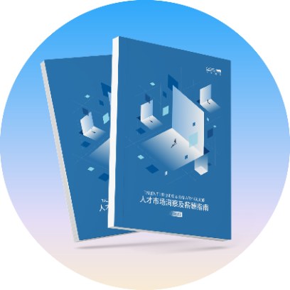2025人才市场洞察及薪酬指南
